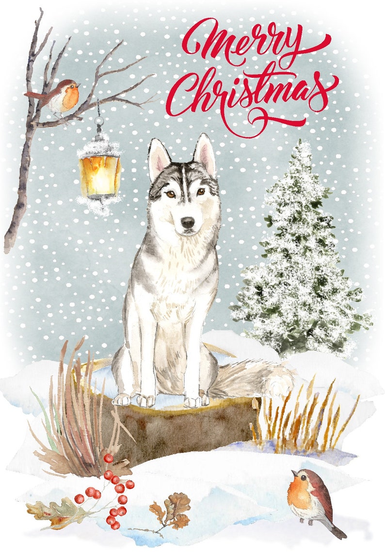 Siberian Husky Christmas Cards 