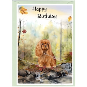 Cartão "Feliz Aniversário" para Cavalier King Charles Spaniel (15,2 cm x 10,1 cm) com envelope - Em branco por dentro para sua própria mensagem.