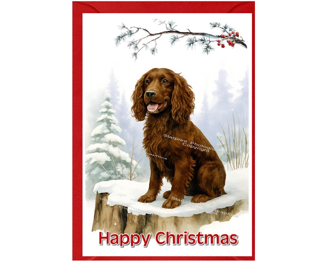 Cocker Spaniel Working Brown Dog Christmas Card (6" X 4") Blank Inside ...