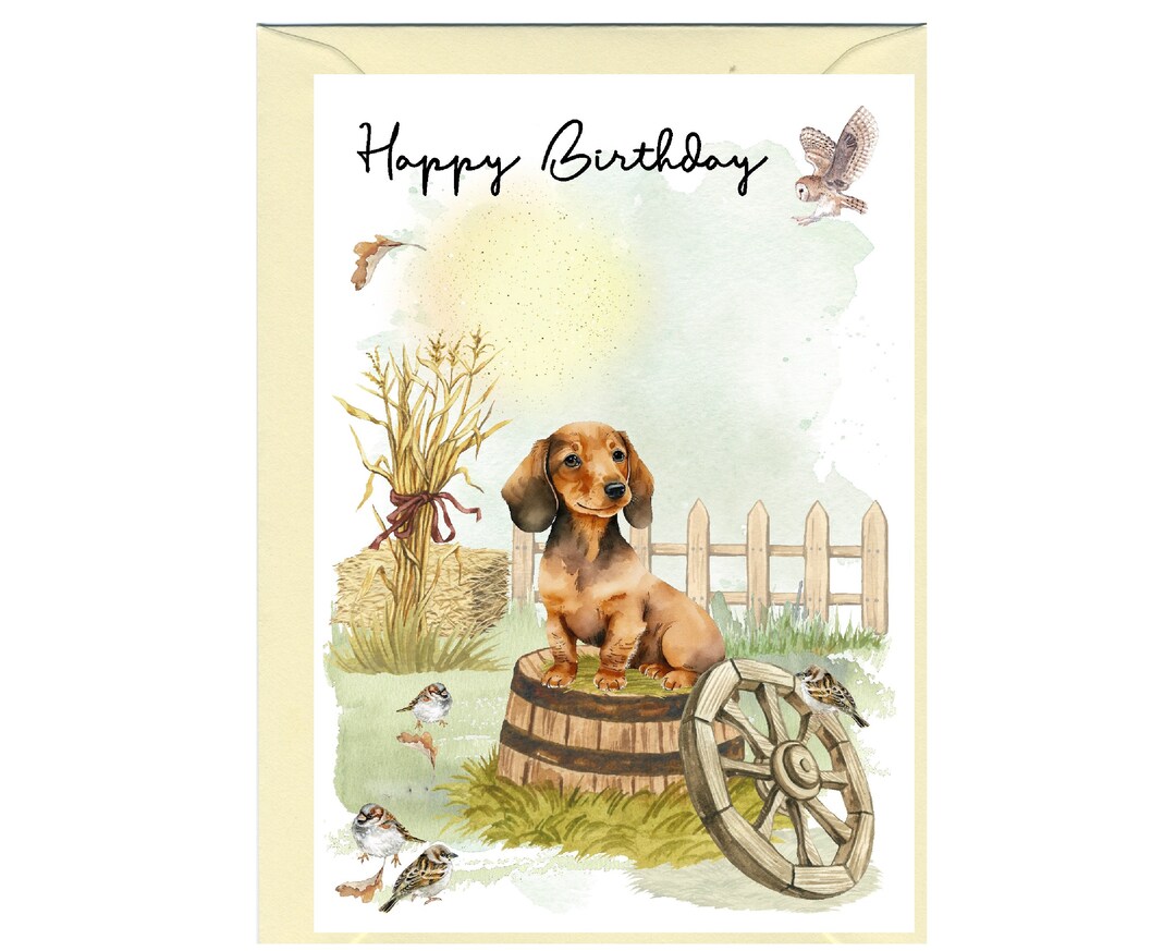 Anniversaire Chien, Mignonne Teckel Saucisse Chien Avec Des Ballons , De Fête Et Espiègle Animal