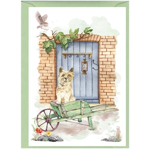 Gepersonaliseerde Cairn Terrier-hondenwenskaart (6 x 4 inch) met envelop.  Ideaal voor elke gelegenheid.  Kan desgewenst leeg worden gelaten