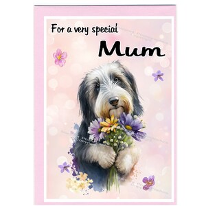 Bearded Collie Hund Blanko Karte für Mama (6 "x 4") mit Umschlag - Ideal für Muttertag, Geburtstag, etc.