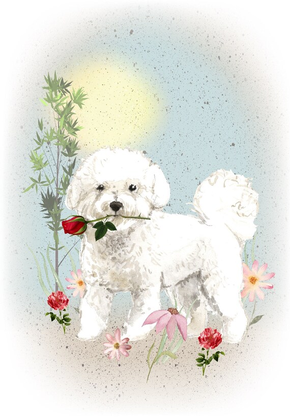Bichon frise items cheap