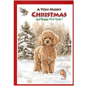 Tarjeta de Navidad para perro caniche (albaricoque) (6" x 4") Interior en blanco - con sobre. Artículo perfecto para cualquier amante de los perros.