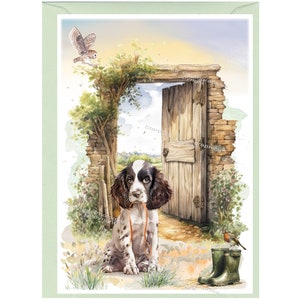 Biglietto d'auguri/notelet personalizzato per cane Springer Spaniel inglese (6" x 4") con busta. Se si preferisce, la scheda può essere lasciata vuota