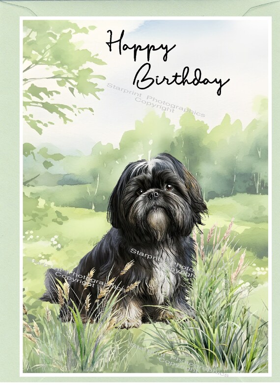 Shih Tzu Dog Superman Superdog Blank Greeting Card Any Occasion