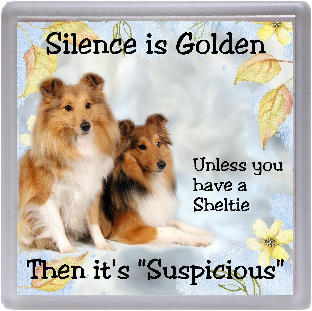 Shetland Sheepdog/Sheltie Dog Fridge Magnet "Silence is Golden .." by Starprint Shetland Sheepdog/Sheltie Dog Fridge Magnet "Silence is Golden .." by Starprint