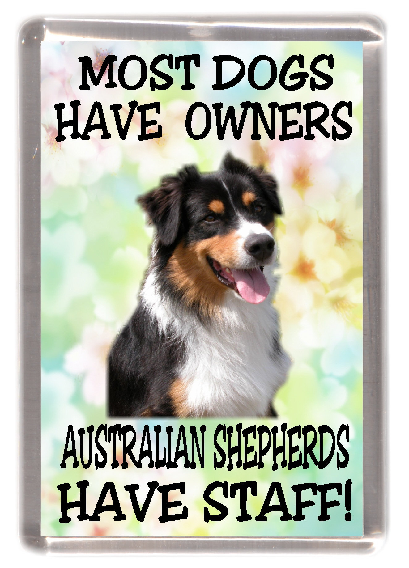 Can You Take Your Dogs To Australia