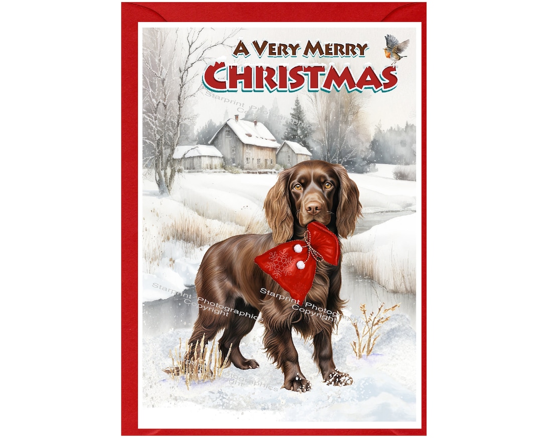 Cocker Spaniel Working Brown Dog Christmas Card (6" X 4") Blank Inside ...