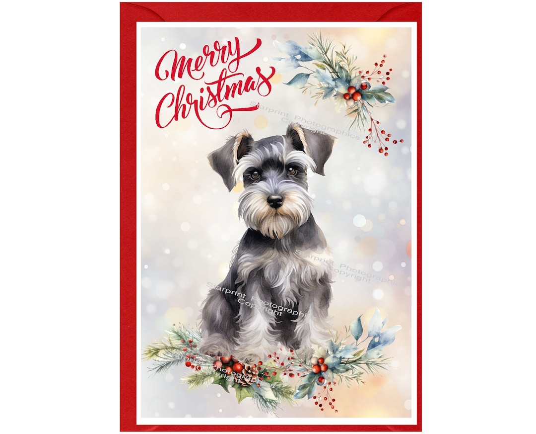 Miniature Schnauzer Dog Christmas Card (6" X 4") Blank Inside - With ...