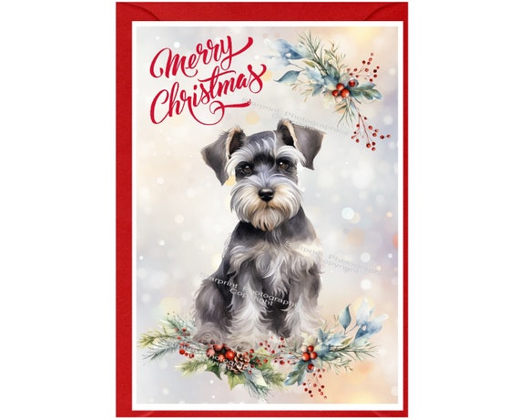 Miniature Schnauzer Dog Christmas Card 6