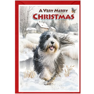Bearded Collie / Beardie-Weihnachtskarte 15 x 10 cm Innen leer - mit Umschlag.  Perfekter Artikel für jeden Hundeliebhaber