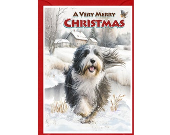 Bearded Collie / Beardie Christmas Card (6" x 4") Blank inside - with Envelope.  Perfect item for any Dog Lover