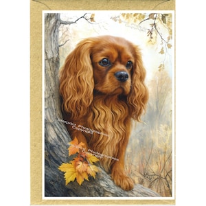 May include: A greeting card with a painting of a Cavalier King Charles Spaniel. The dog has auburn fur and is positioned on a tree branch with autumn leaves. The background shows a blurred forest scene.