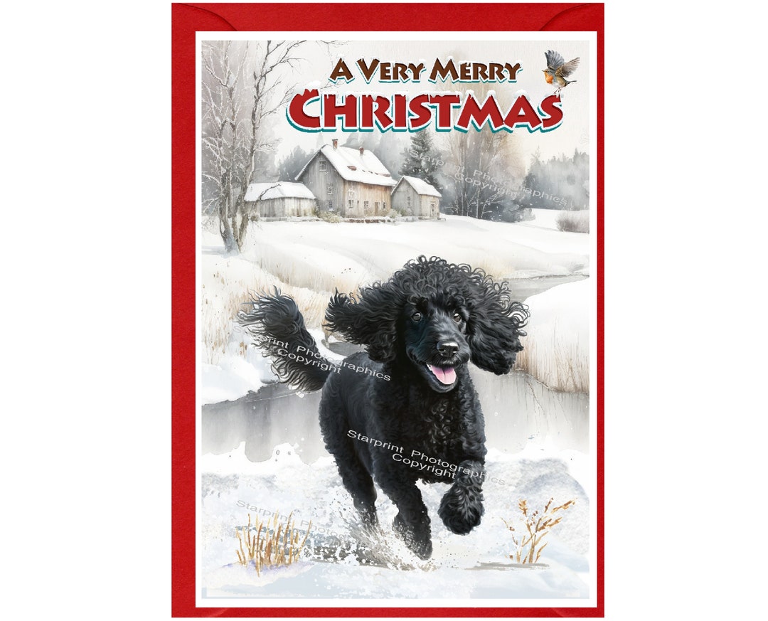 Black Poodle Dog Christmas Card (6" X 4") Blank Inside - With Envelope ...