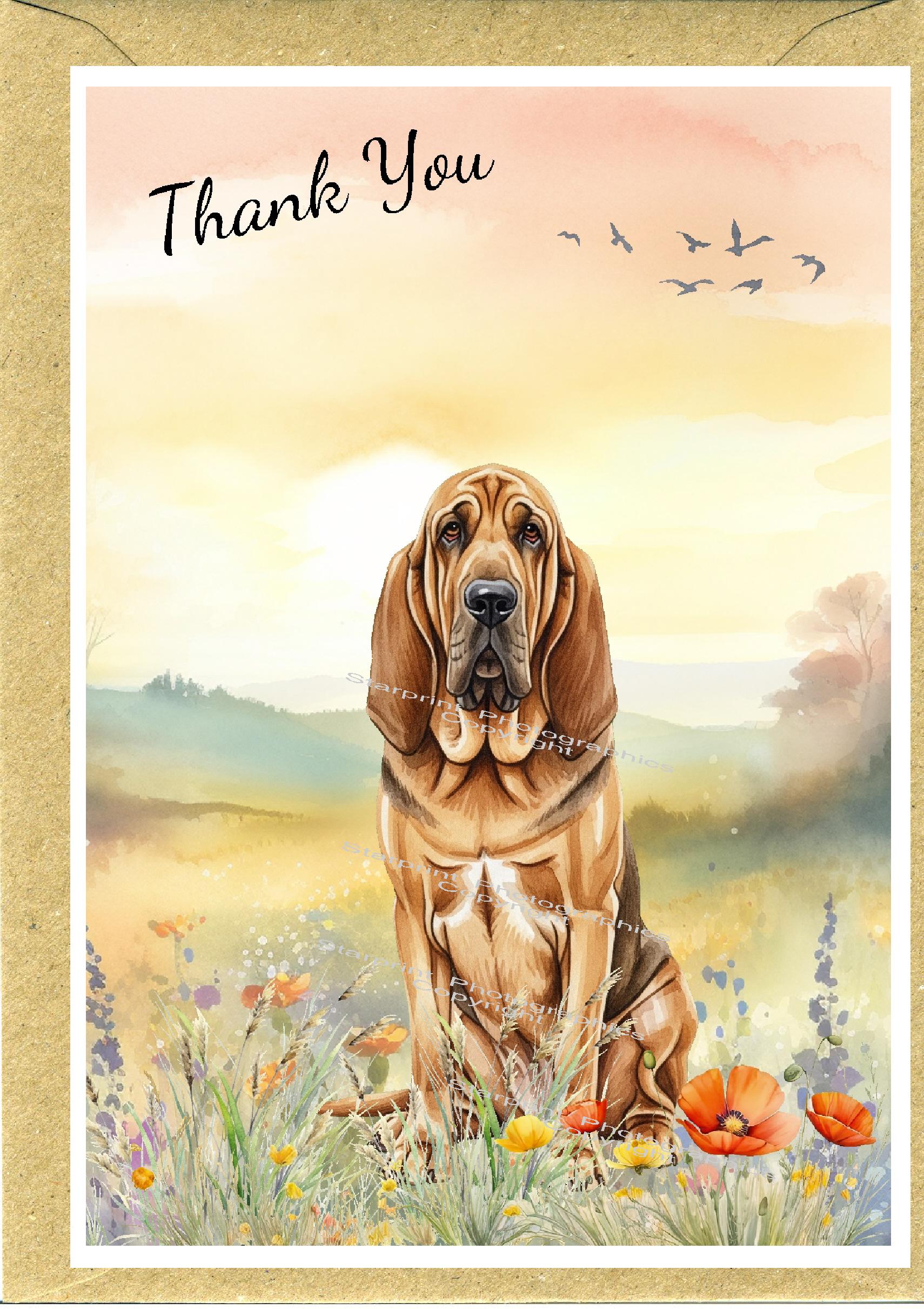 Bloodhound Dog 