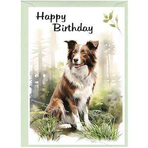 "Geburtstagskarte ""Happy Birthday"" (15 x 10 cm) Border Collie, Rot und Weiss) Perfekt für jeden Hundefreund