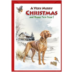 Carte de Noël Hongrois Vizsla Dog (6 x 4 po.) vierge à l'intérieur - avec enveloppe. Article parfait pour tous les amoureux des chiens