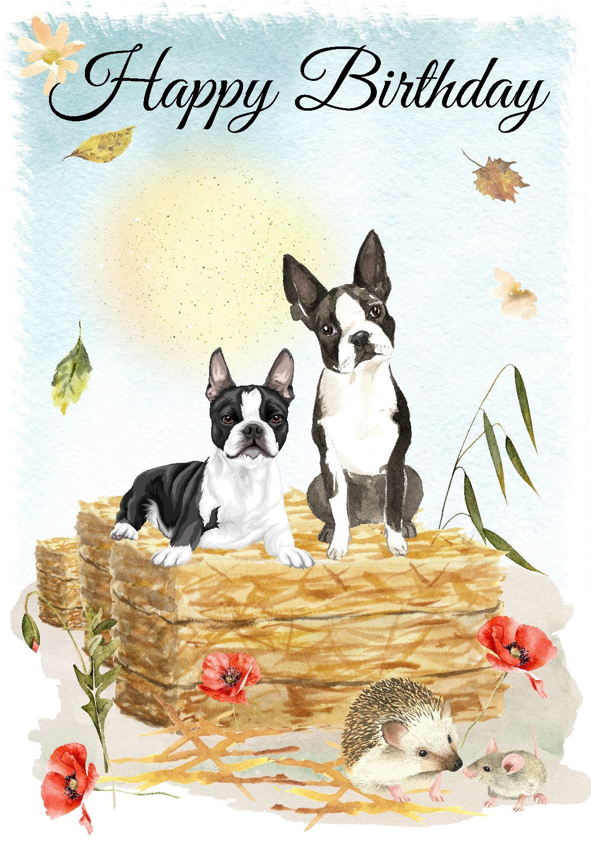 Boston Terrier Dog happy Birthday Card 6x - Etsy UK