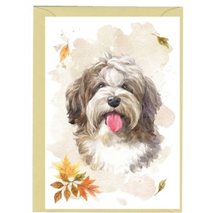 Tarjeta en blanco con forma de perro habanero (15,24 x 10,16 cm) y sobre. Artículo perfecto para cualquier amante de los perros