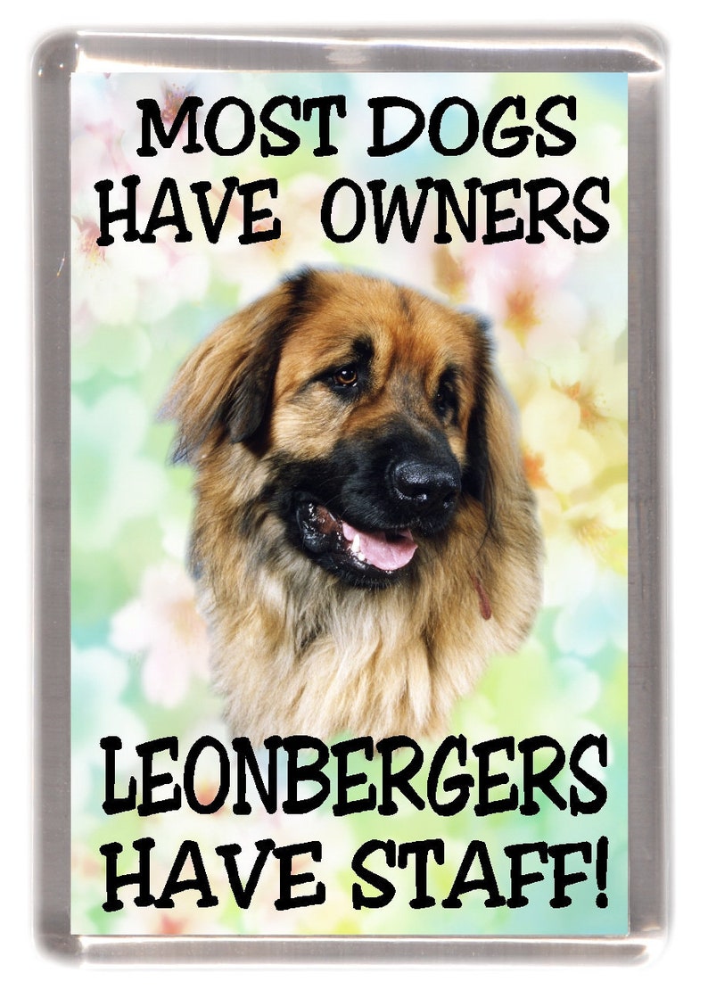 Leonberger Dog Fridge Magnet Most Dogs Have Owners Leonbergers Have Staff. Great Gift for any Dog Lover image 1