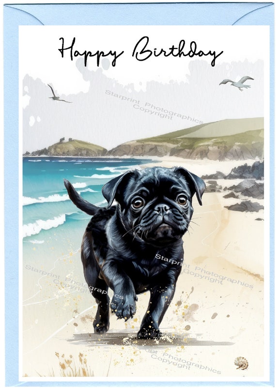 Pug (black) Dog 