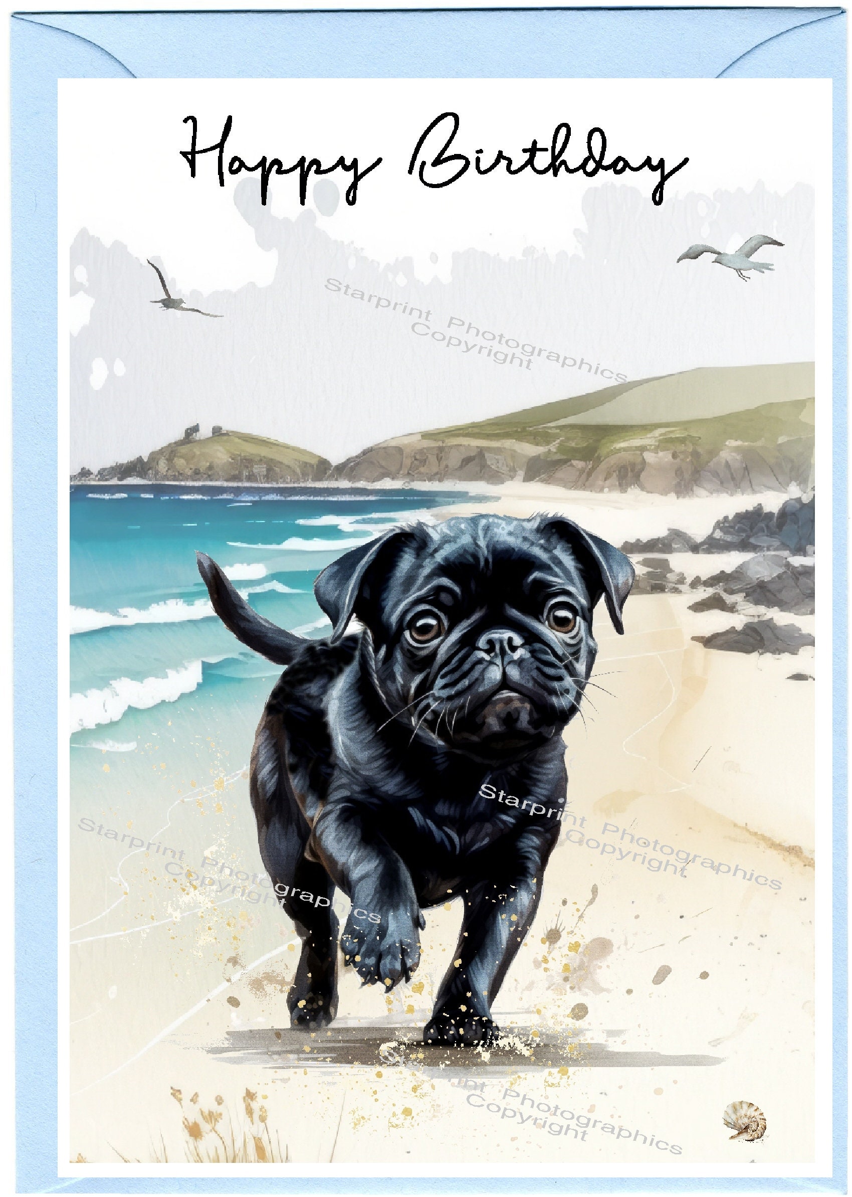 Biglietto di auguri di compleanno per cane in moto - Italia
