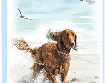 Artery8 Grußkarte Für Hundeliebhaber – Red Setter Design, Blanko, 17,5 X 12,5 Cm, Für Geburtstag, Dank Oder Glückwünsche