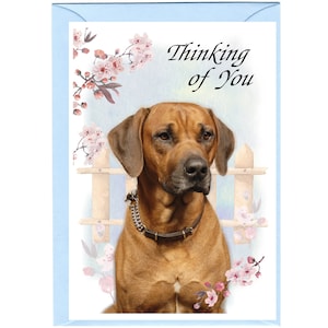 Rhodesian Ridgeback Dog  &quot;Thinking of You&quot; Card (6&quot; x 4&quot;) with Envelope - Blank inside for your own message.