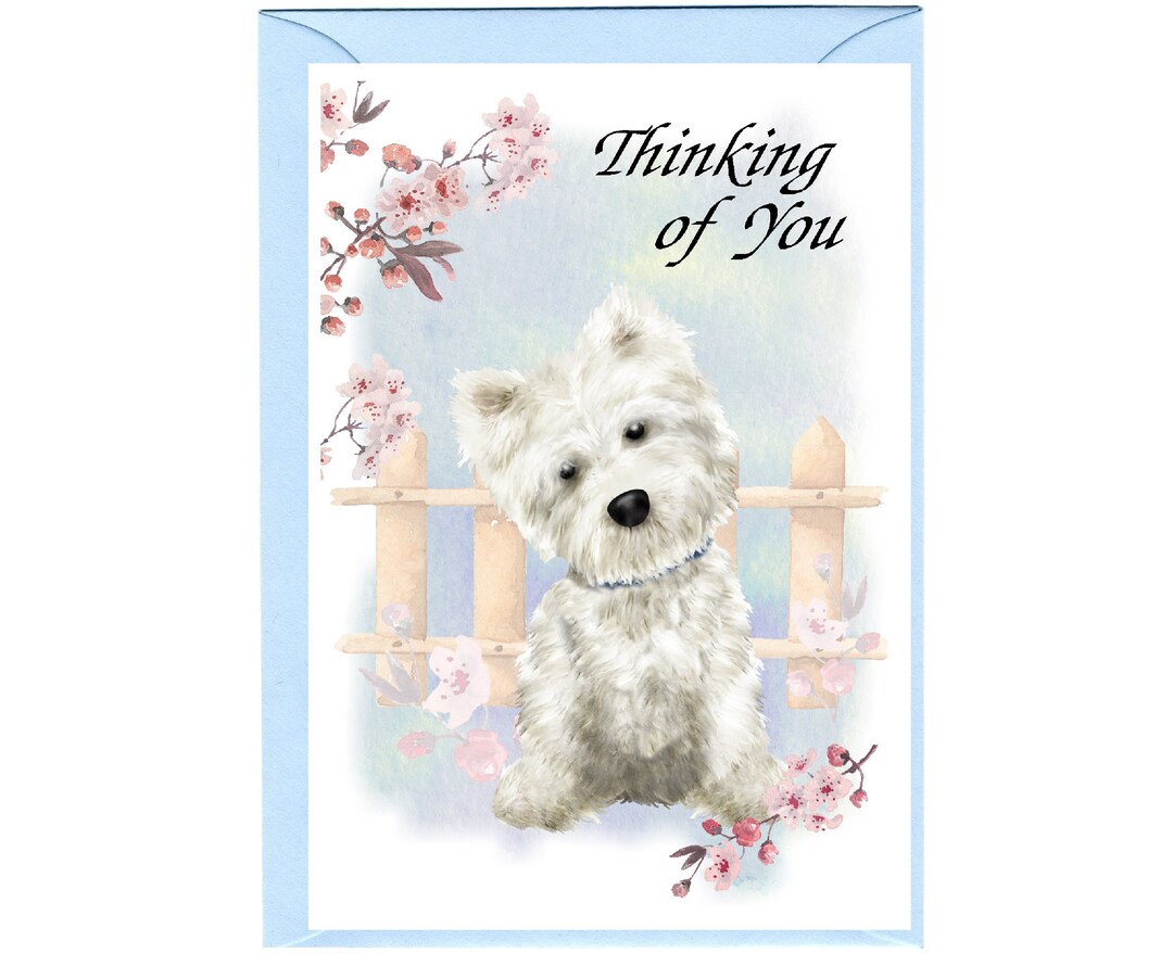 Cani-Vacances - Élevage De West Highland White Terrier à Saint