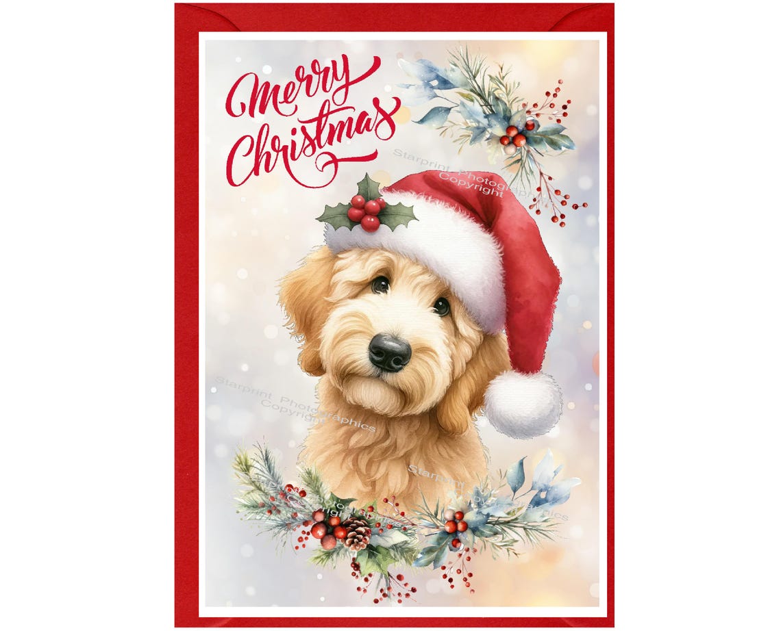 Golden Doodle / Labradoodle Dog Christmas Card (6" X 4") Blank Inside ...