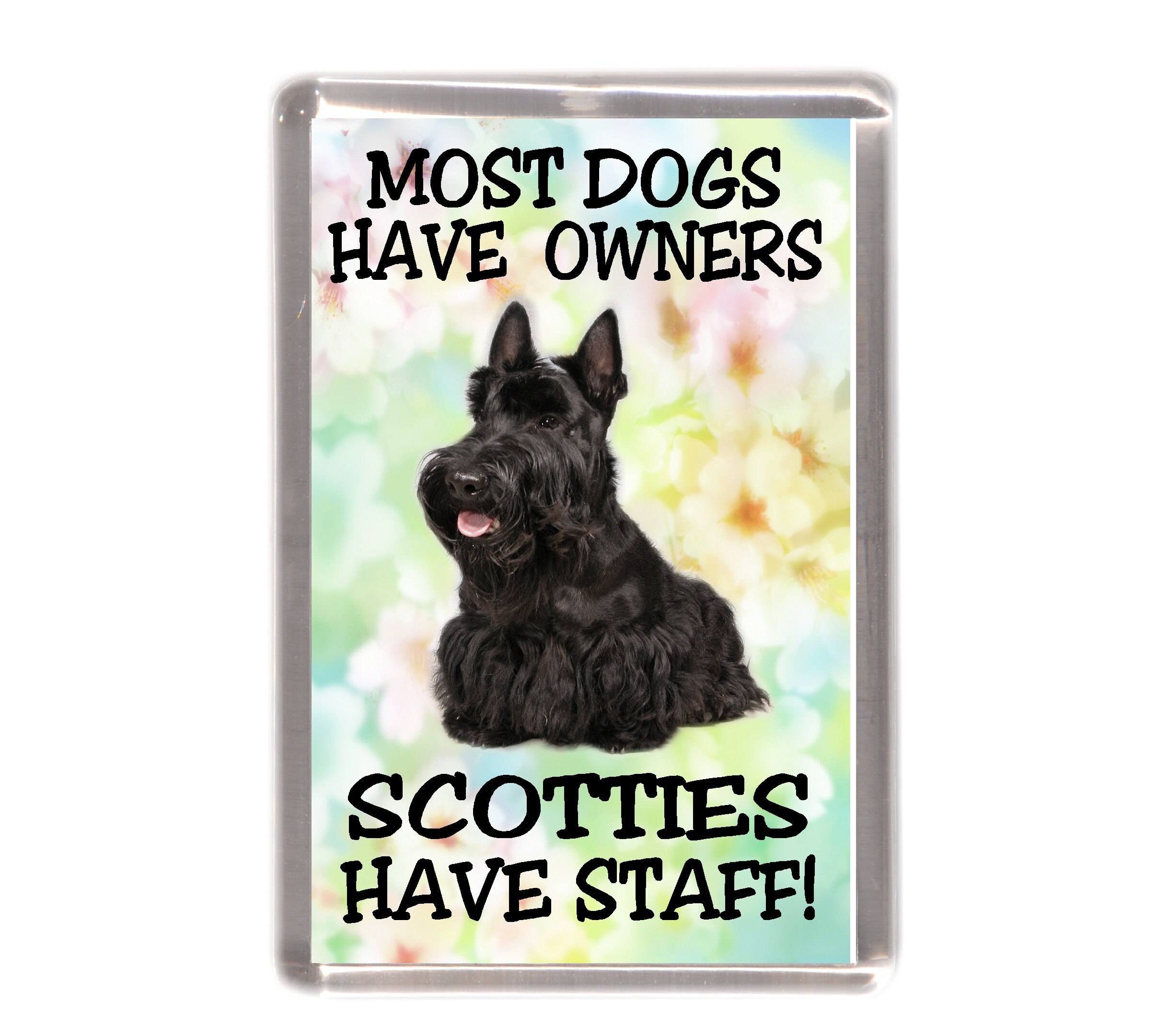 Antique magnetic scottie best sale dogs