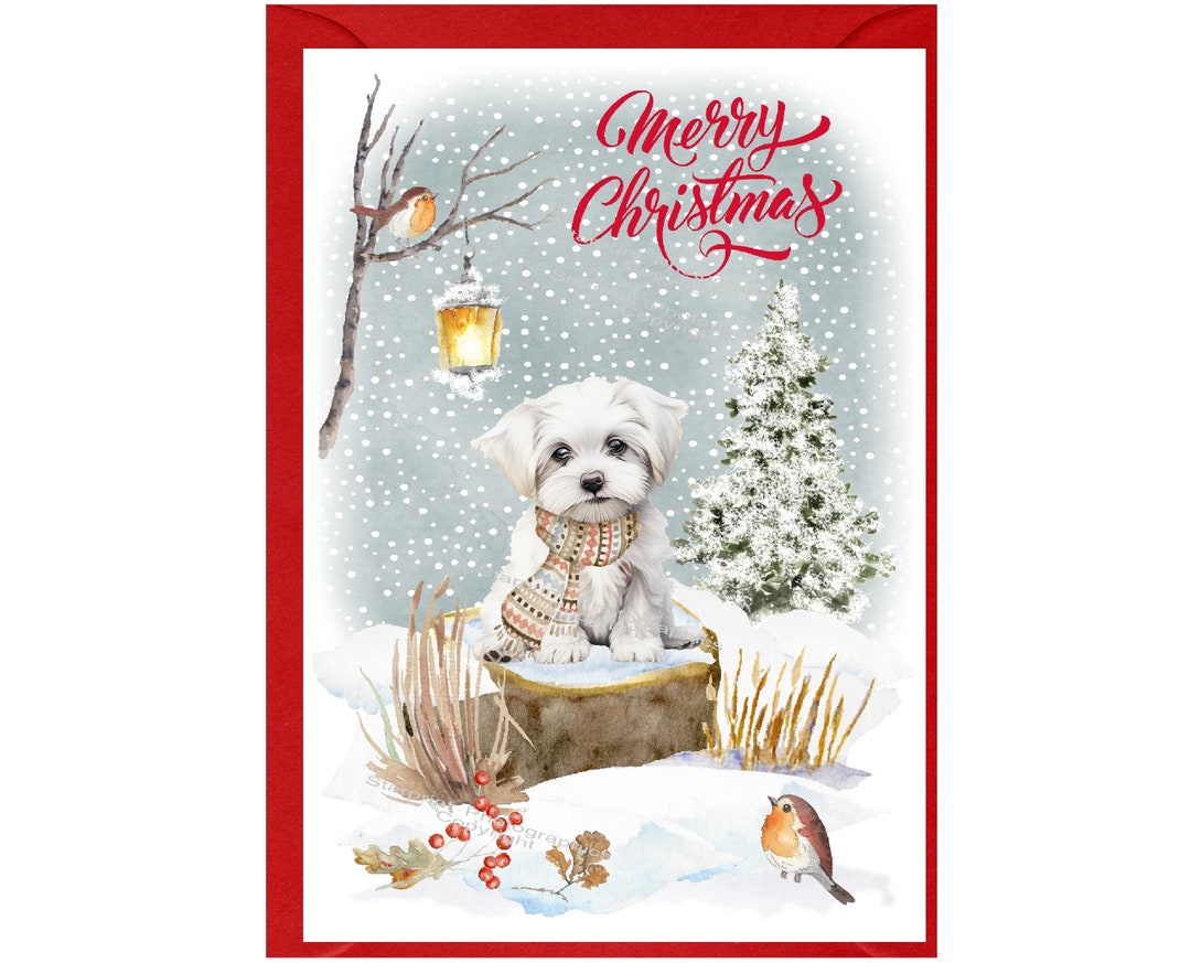 Maltese Dog Christmas Card (6" X 4") Blank Inside - With Envelope ...