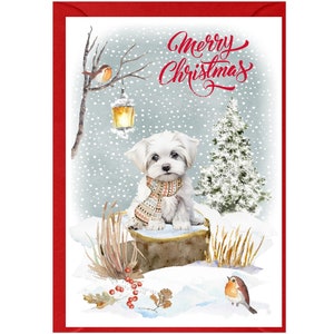 Maltesische Hunde-Weihnachtskarte, 15 x 10 cm, innen leer - mit Umschlag.  Perfekter Artikel für jeden Hundeliebhaber