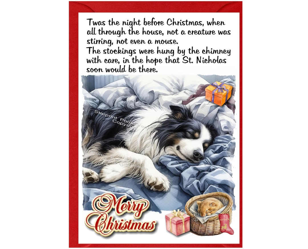 Border Collie Dog Christmas Card (6" X 4") Blank Inside - With Envelope ...