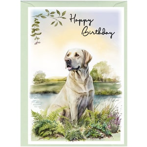 Biglietto di auguri di "Buon compleanno" con cane Labrador Retriever (giallo/dorato) (15,2 x 10,2 cm) e busta. Interno vuoto per scrivere il tuo messaggio.