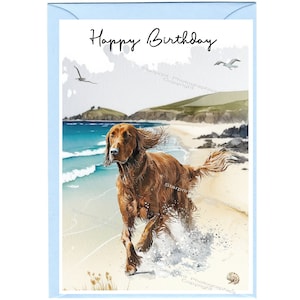 Irish Red Setter Hund ""Happy Birthday"" Karte (15,5 x 10,5 cm) mit Umschlag - Leere Innenseite für Ihre eigene Nachricht." Perfekt für jeden Hundefreund