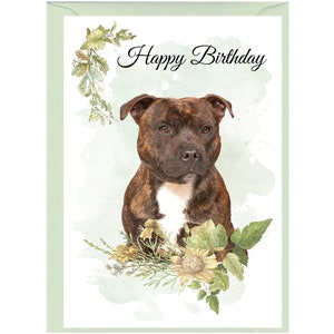 Cartão de "feliz aniversario" do cão Staffordshire bull terrier (6" x 4") com envelope - interior vazio para sua própria mensagem. Perfeito para qualquer amante de cães