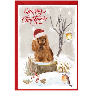 Cartão de Natal para Cachorro Cavalier King Charles Spaniel (Ruby) (6" x 4") Em branco por dentro - com Envelope. Item perfeito para qualquer amante de cachorro