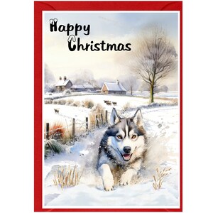 Carte de Noël de chien husky sibérien (6 x 4 po.) vierge à l'intérieur - avec enveloppe.  Article parfait pour tous les amoureux des chiens