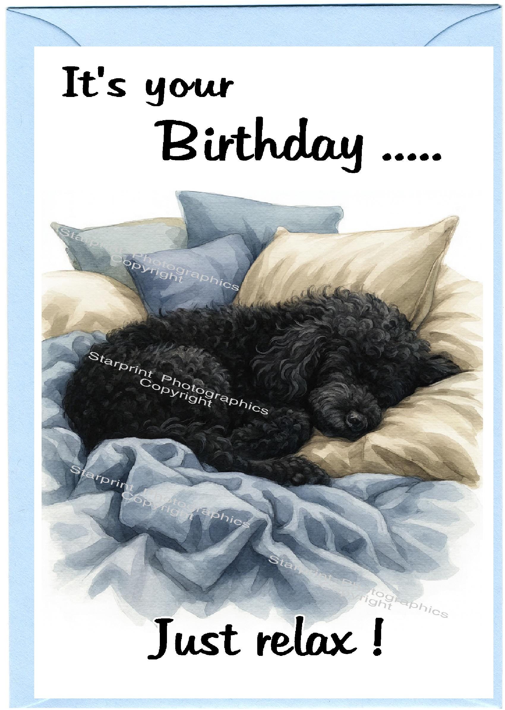 Poodle Black Dog Birthday Card (6"x 4") With Envelope. Blank Inside for ...