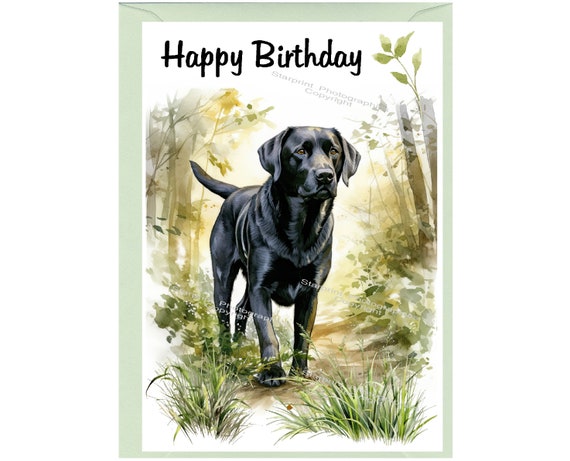 Geburtstagskarte Mit Schwarzem Labrador – 145 X 145 Mm, Hochwertig & Umweltfreundlich