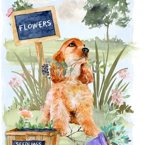 Cocker Spaniel (Golden) Dog Blank Card /Notelet (6" x 4") with Envelope - Landscape Gardener Design.  Perfect item for any Dog Lover