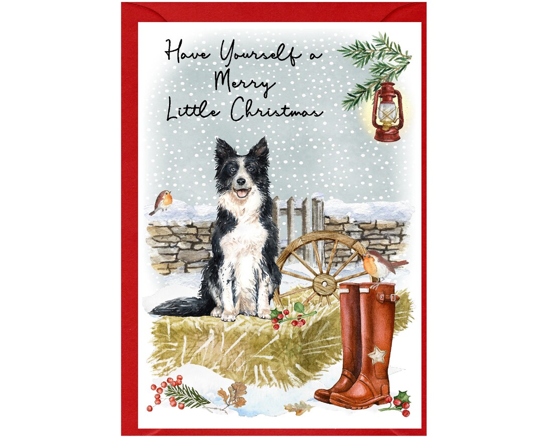 Border Collie Dog Christmas Card (6" X 4") Blank Inside - With Envelope ...