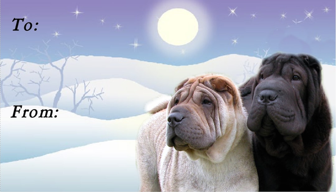 Shar pei hotsell christmas jumper