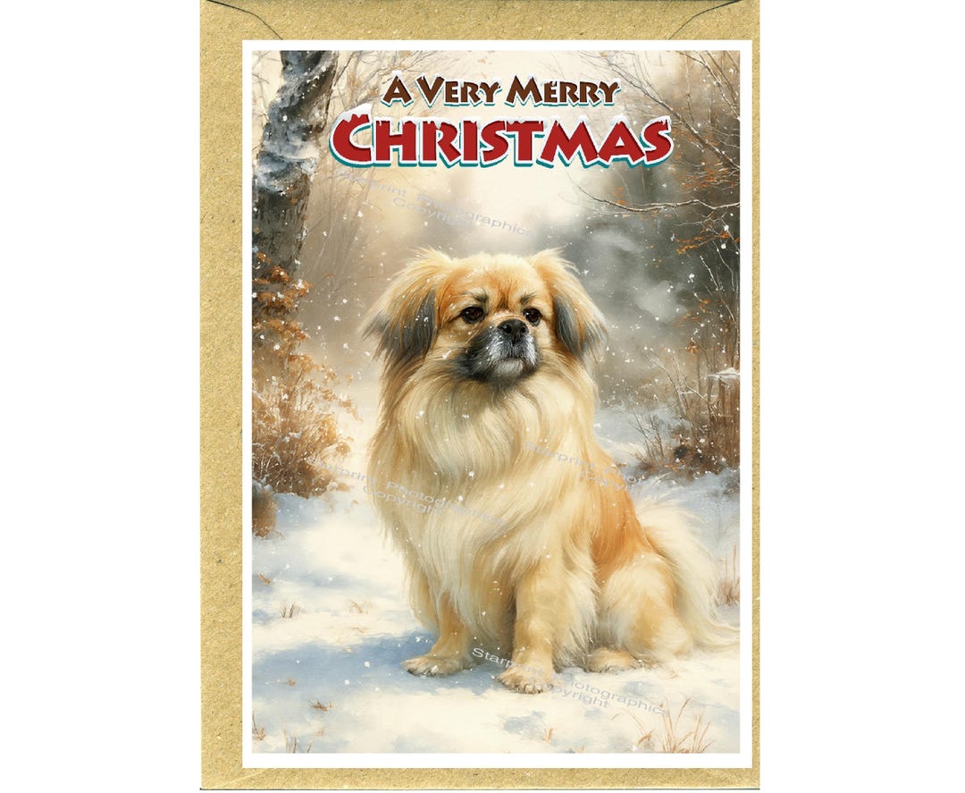 Tibetan Spaniel Dog Christmas Card (6" X 4") Blank Inside - With ...