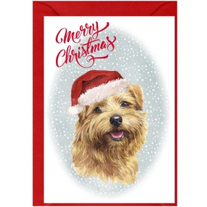 Carte de Noël pour chien Norfolk Terrier (6 x 4 po.) vierge à l'intérieur - avec enveloppe. Article parfait pour tous les amoureux des chiens