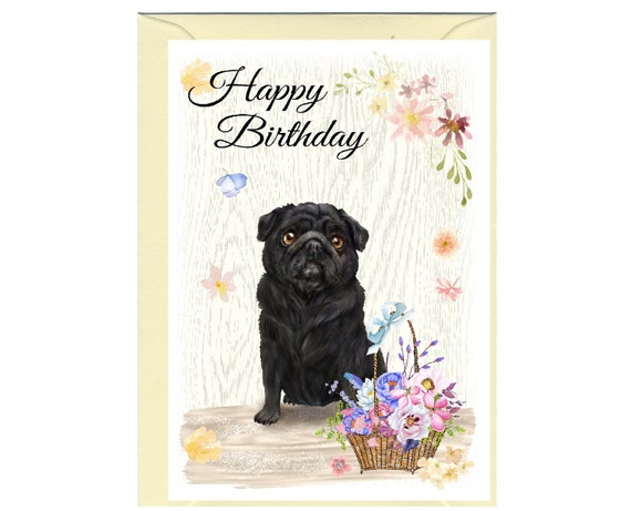 Feliz Cumpleaños Gorro, Paliacate Y Letrero Perros Mascotasa Sombrero Mexicano Para Perro