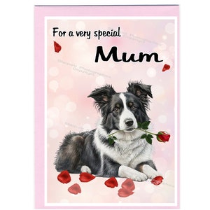 Blanco kaart voor border collie-hond voor moeder (6 x 4 inch) met envelop - ideaal voor Moederdag, verjaardag, enz.