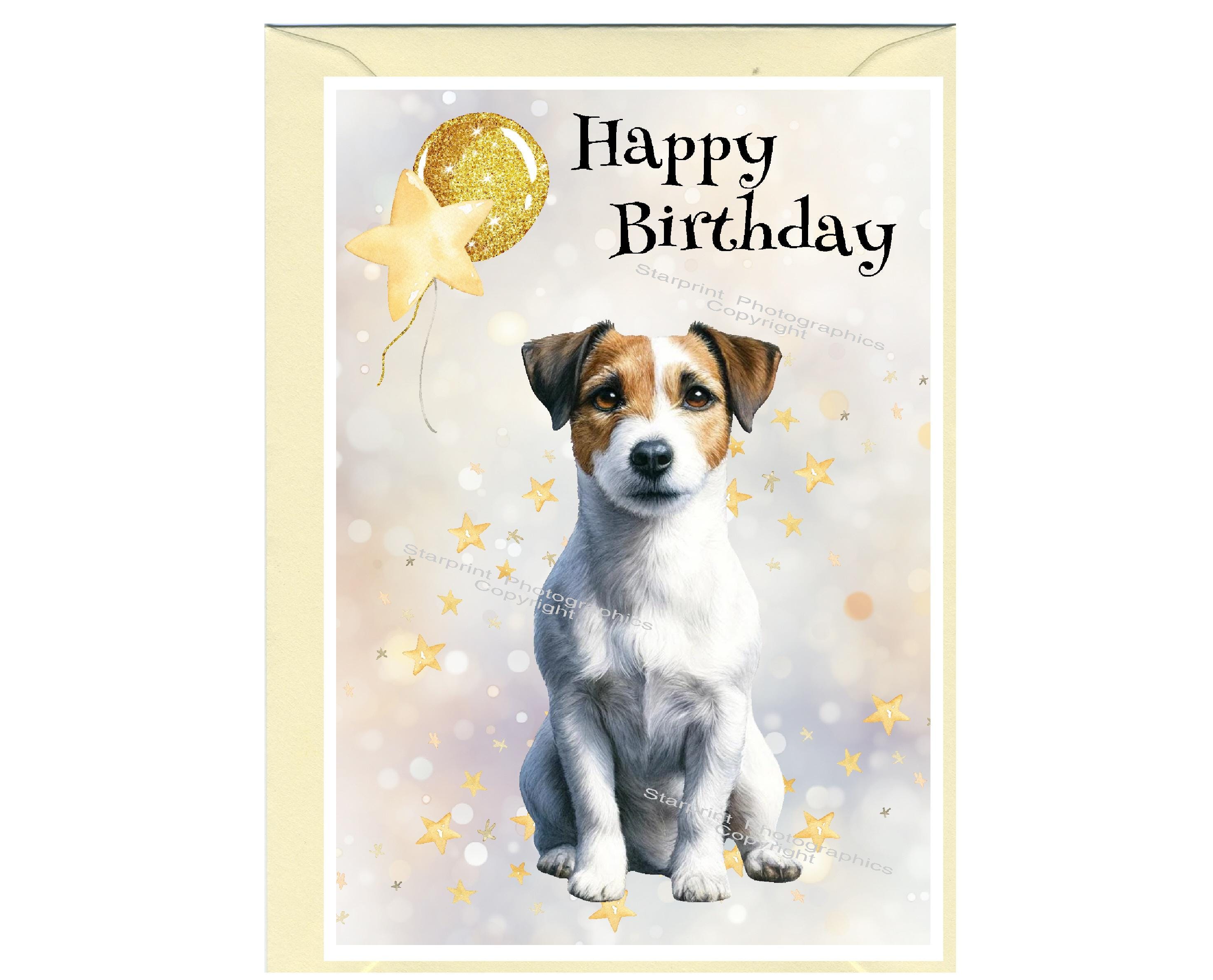 Jack Russell Terrier Dog 